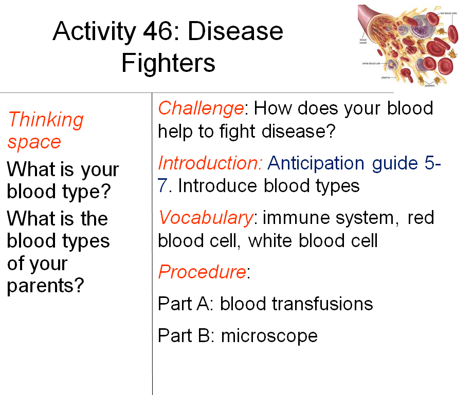 blood anticipation guide answer key